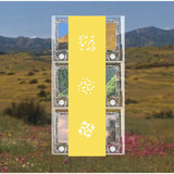 Staying: Leaving Records Aid to Artists Impacted by the Los Angeles Wildfires【TAPE】-V.A