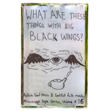 What Are These Things With Big Black Wings?【TAPE】- Various Artist