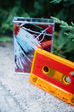 Velvet Petals【TAPE】- YONLAPA