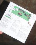 Live on The Green【TAPE】- Sam Wilkes
