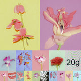 20g Various Artists【TAPE】（+DL）-  V.A.