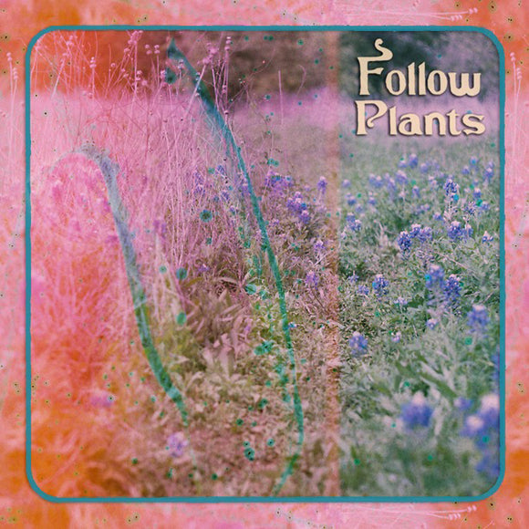 Follow Plants【TAPE】- Limalo