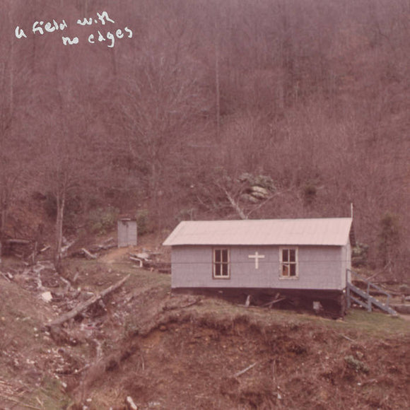 a field with no edges (+DL)【TAPE】orchid mantis