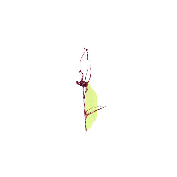 deathless songs【TAPE】-  the humble bee