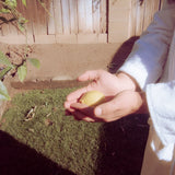 talking treasure【TAPE】- former boy