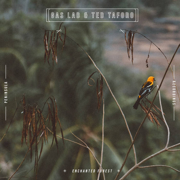 Enchanted Forest【TAPE】-  Gas Lab & Ted Taforo