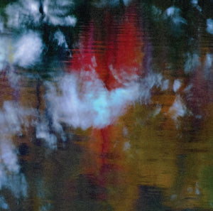 An Offering【TAPE】-Photay with Carlos Niño