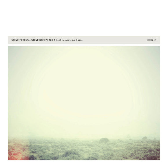 Not A Leaf Remains As It Was 【CD】-  Steve Peters & Steve Roden