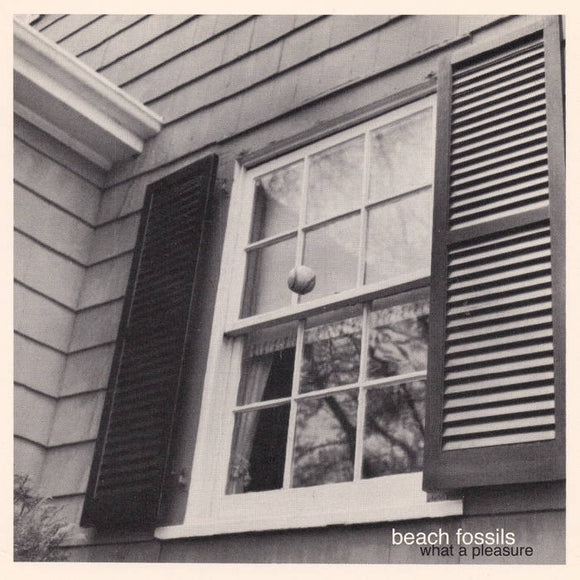 What A Pleasure 【TAPE】- Beach Fossils