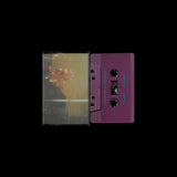adapting to blurriness【TAPE】- amiga herz