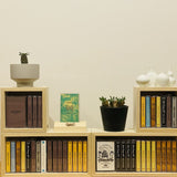 Tastee T Box(テイスティー ティー ボックス) - M-size