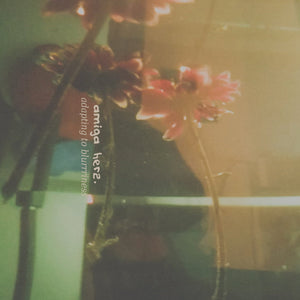 adapting to blurriness【TAPE】- amiga herz