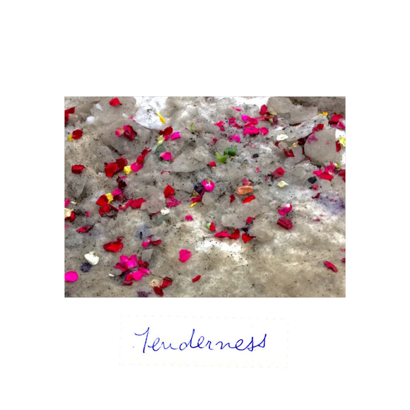 tenderness【TAPE】- awenda provincial park